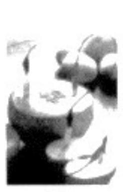 mp_cebf481815.jpg