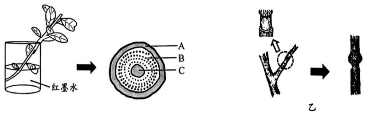 mp_cf8ace493f.jpg