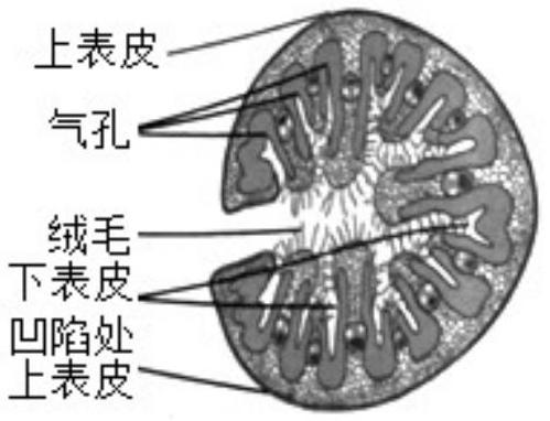 mp_d106264995.jpg