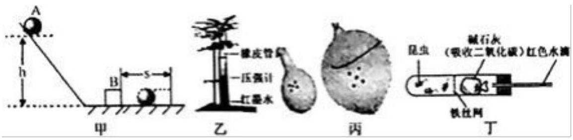 mp_d1d37ed129.jpg