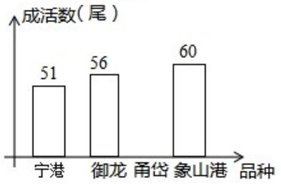 mp_d2858681e4.jpg