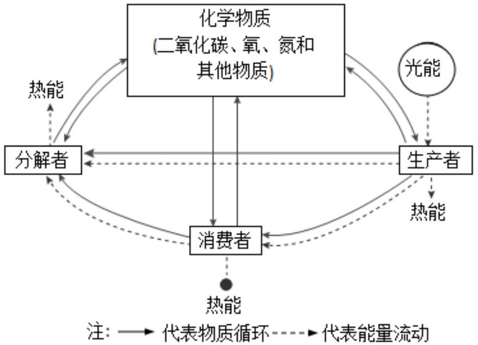 mp_d46453bcb8.jpg