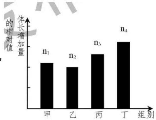 mp_d49d34e0f5.jpg