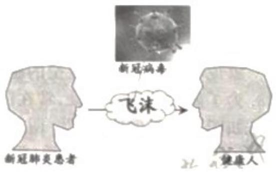 mp_d54a90b5cc.jpg