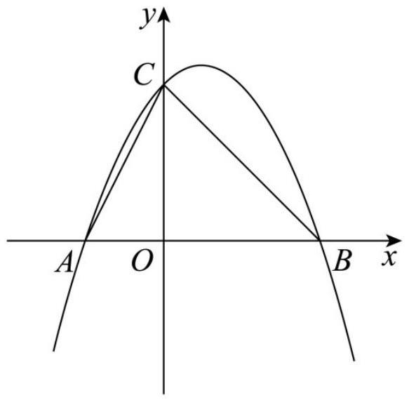 mp_d57bd0f5e6.jpg