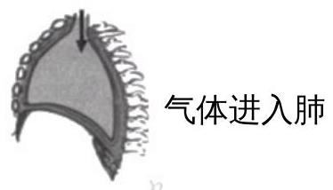 mp_d65b739819.jpg