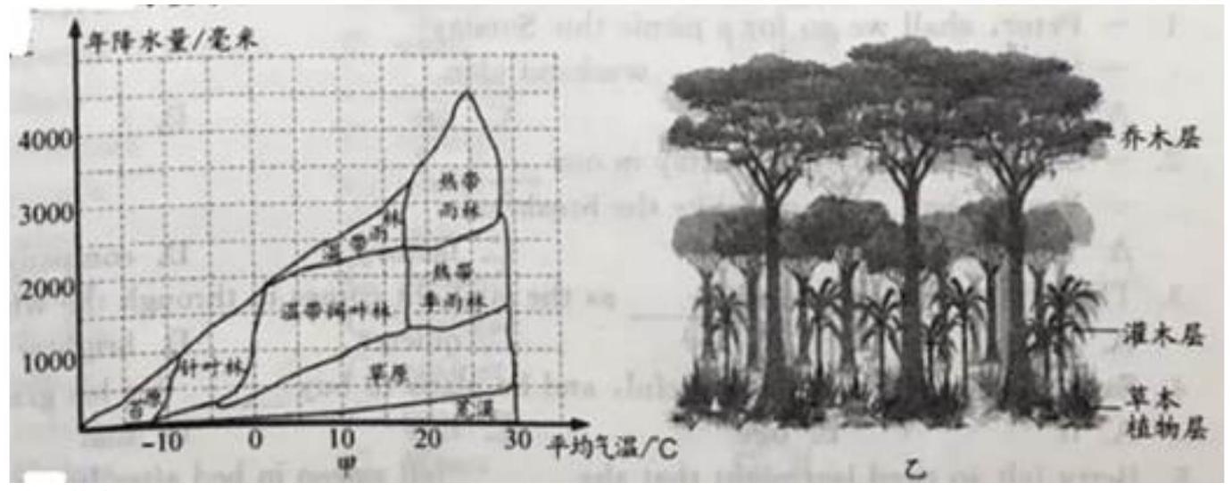 mp_d65d119ce7.jpg
