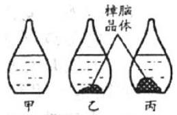 mp_d67b8f737e.jpg