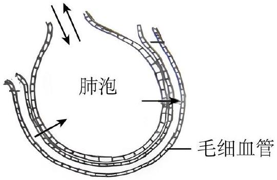 mp_d6b580db38.jpg