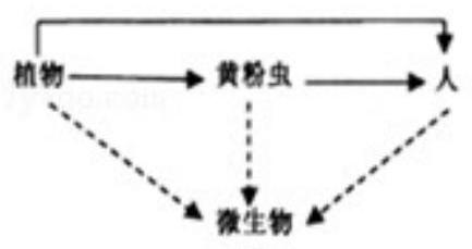 mp_d6ddb10165.jpg