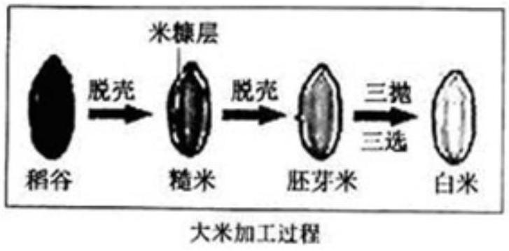 mp_d8c285d262.jpg
