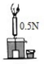 mp_d958d1ad24.jpg