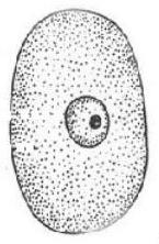 mp_d9a26491bd.jpg