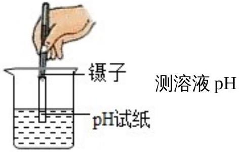 mp_d9c11128df.jpg
