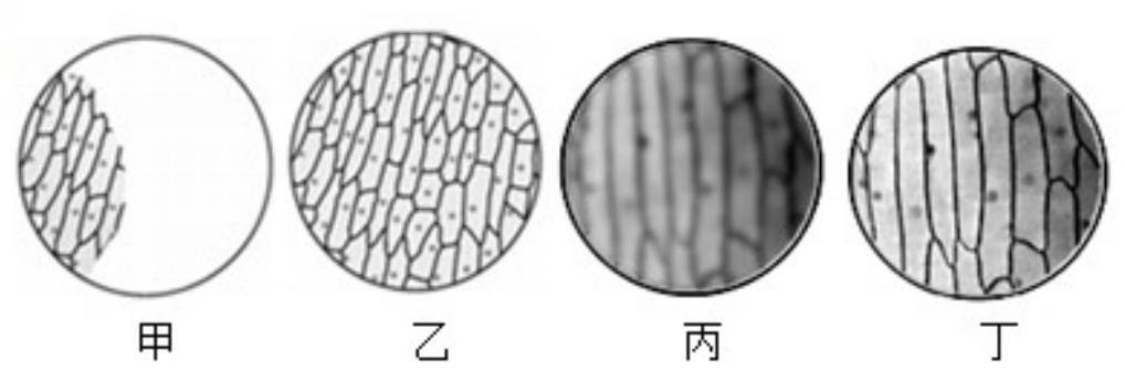 mp_d9e2ac6450.jpg