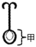 mp_daaa197618.jpg