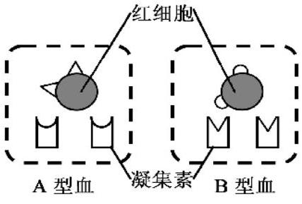 mp_dbe06863a1.jpg