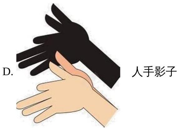 mp_dcd0f56b78.jpg