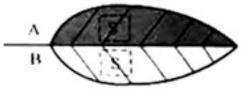 mp_dcf15b62b5.jpg