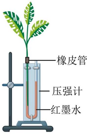 mp_dd63dc859c.jpg