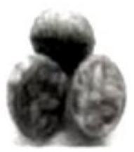 mp_df0a5c4de5.jpg