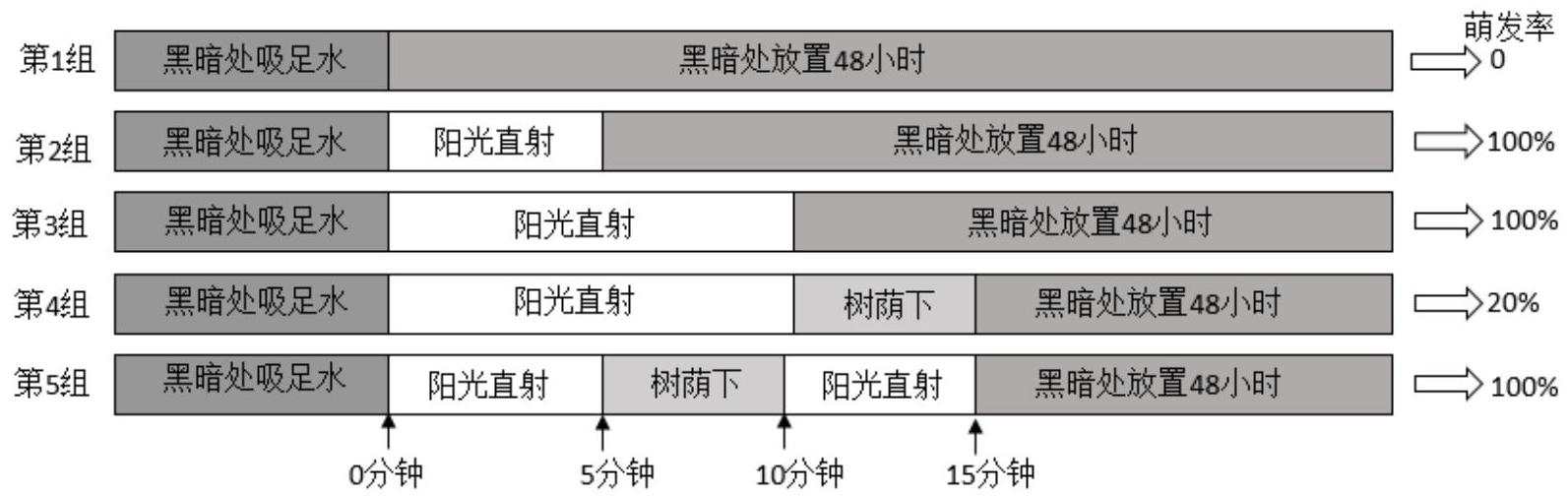 mp_e0504551f8.jpg