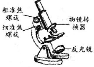 mp_e07eaabb45.jpg