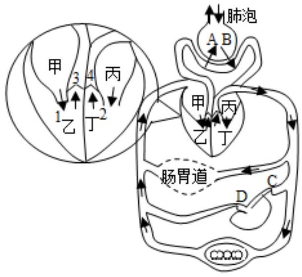 mp_e099abcd16.jpg