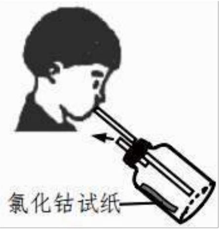 mp_e0cb60c693.jpg