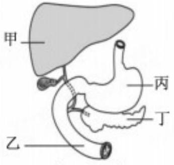 mp_e10eb52813.jpg