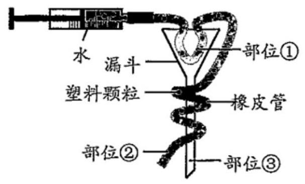 mp_e2bc744571.jpg