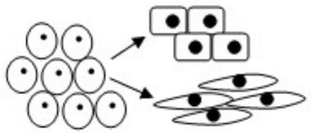 mp_e2dfa666f8.jpg