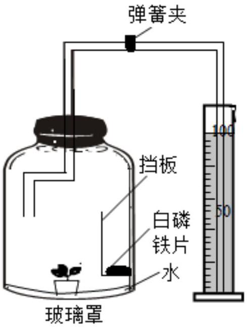 mp_e2e3a9d1bb.jpg