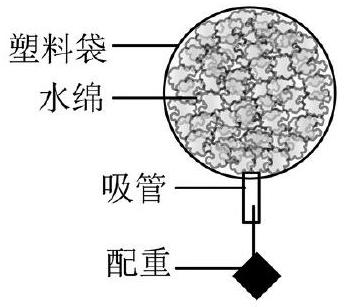 mp_e2e4b81057.jpg