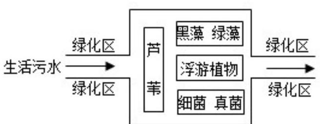 mp_e397f4224c.jpg