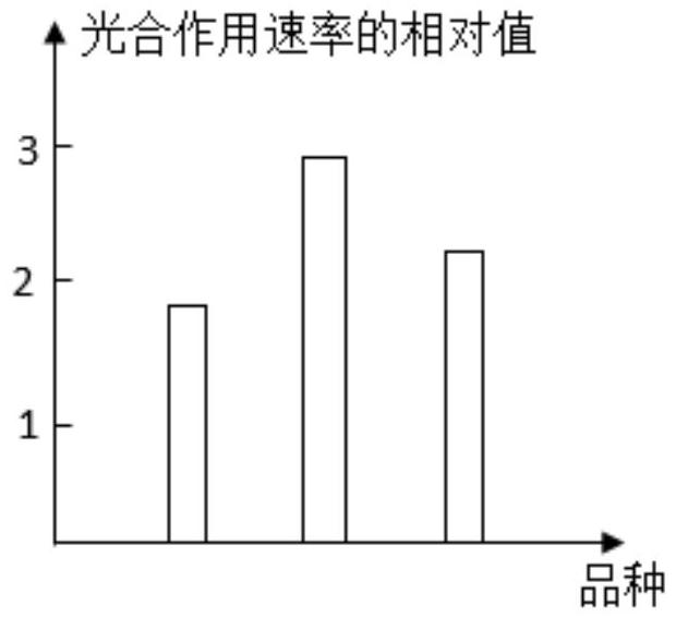 mp_e42c41257e.jpg