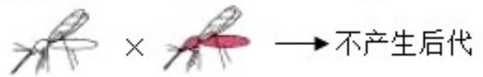 mp_e55d2bc5ee.jpg