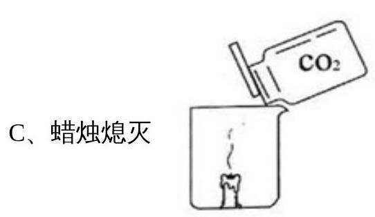 mp_e5cde5a7b8.jpg