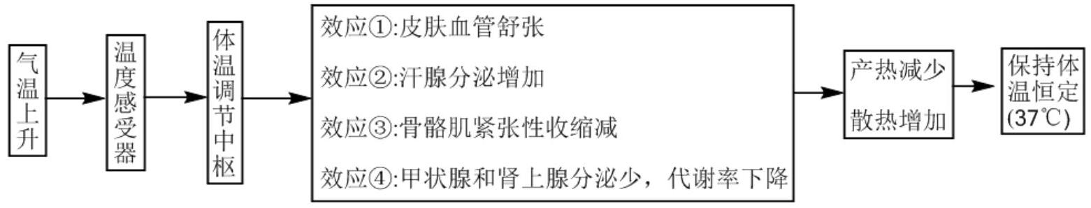 mp_e62c926c2a.jpg