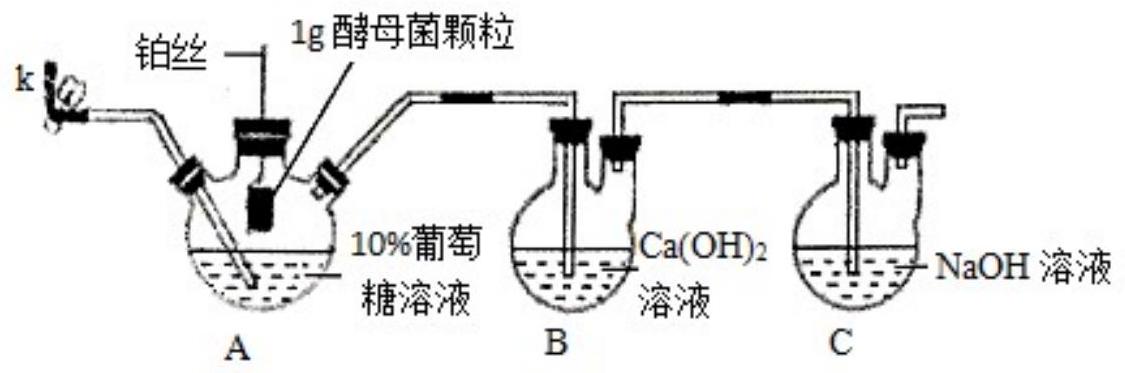 mp_e6334054fc.jpg
