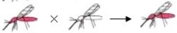mp_e633602206.jpg