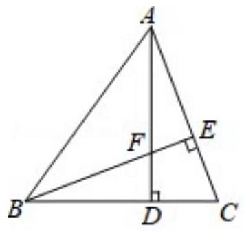 mp_e6d8fe9966.jpg