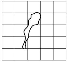 mp_e6e9e12f5e.jpg