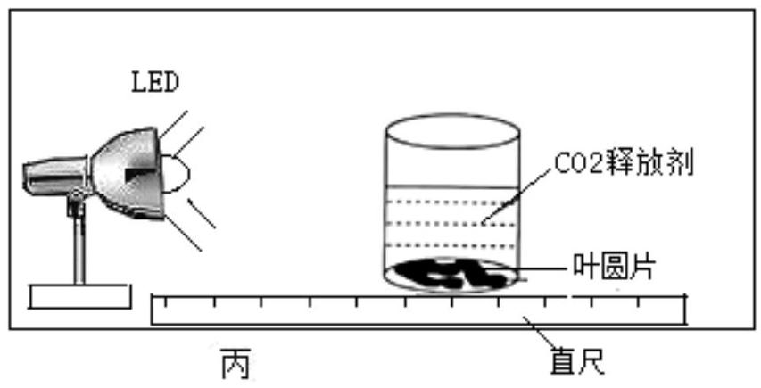 mp_e7465deb20.jpg