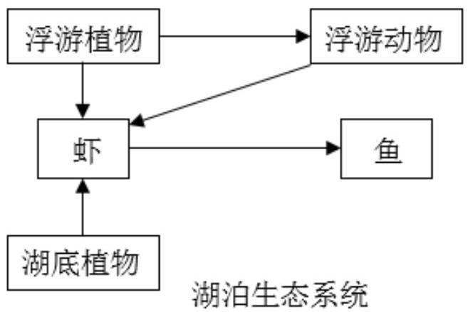mp_e7bfa7812b.jpg