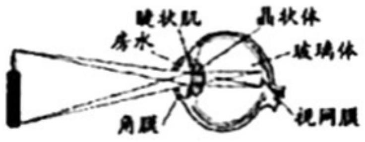 mp_e861477593.jpg