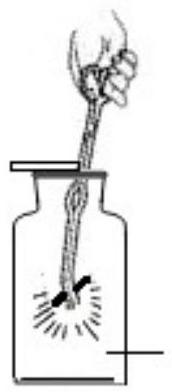 mp_e89d355544.jpg