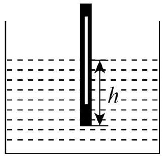 mp_e8bd21cdfa.jpg