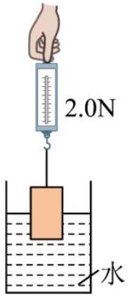 mp_e8ddc96797.jpg