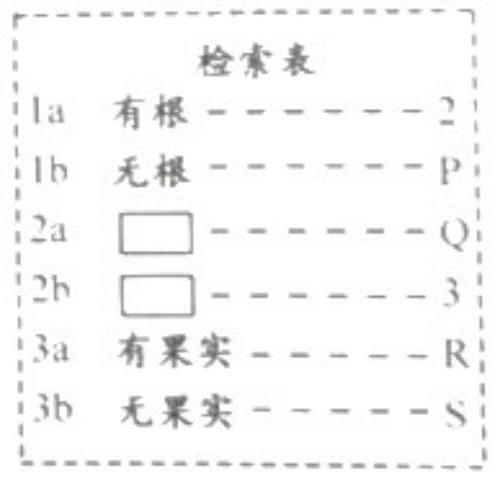 mp_ebc3514b38.jpg
